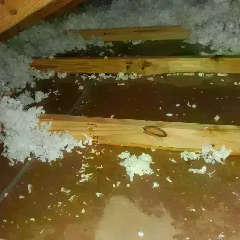 Attic Water Damage in Scott City, MO