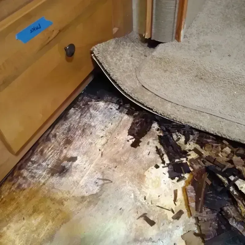 Best Wood Floor Water Damage Service in Scott City, MO